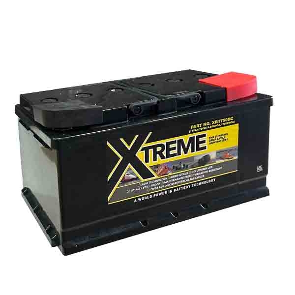 LEOCH 019 AGM BATTERY